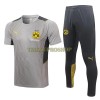 BVB Borussia Dortmund Trainingsshirts Suit 2022-23 Hellgraue Für Herren